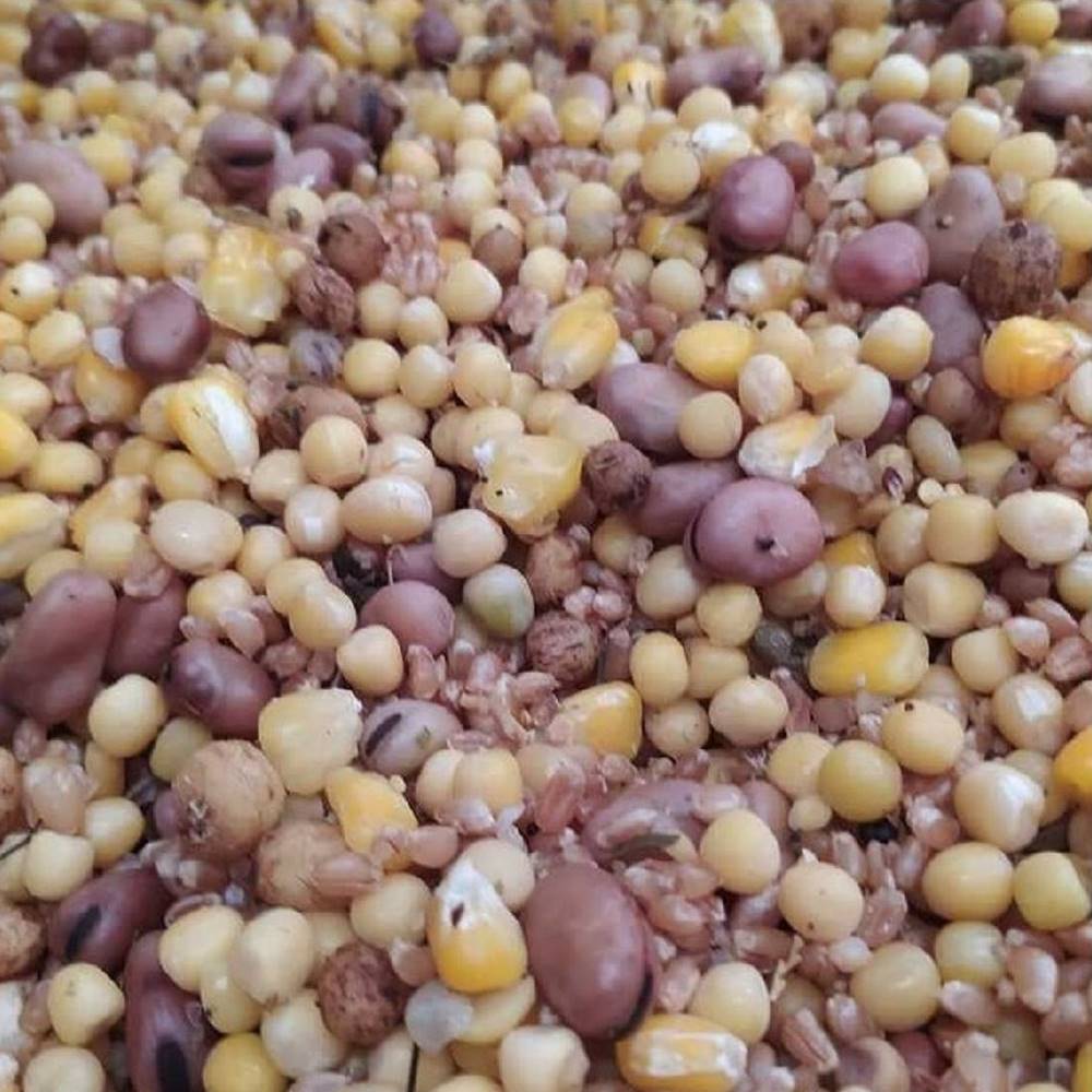 SUPERBAITS MIX SEMILLAS COCIDAS GROSS MIX 5 kg PVA FRIENDLY - Imagen 3